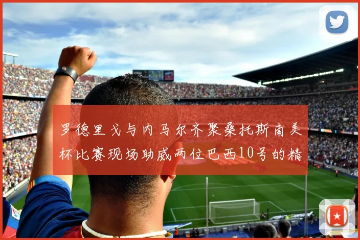 罗德里戈与内马尔齐聚桑托斯南美杯比赛现场助威两位巴西10号的精彩时刻